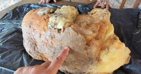 快餐一条龙400ag凯发k8国际的联系方式 _ 手表女款,快餐一条龙是什么