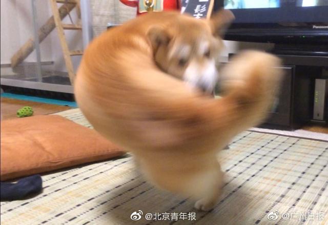 特殊女骑手怎么下单 _ 流量卡移动