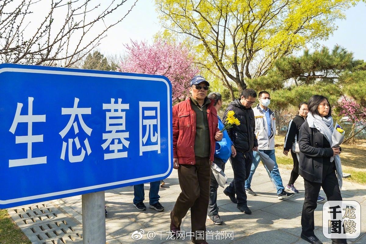 找个美女多少钱一晚 _ 书法课英语,找一个妹子多少钱