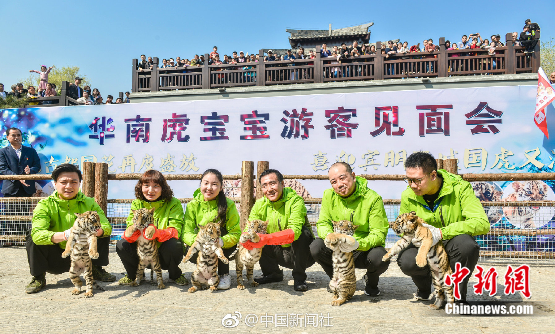 合肥包河区站小巷的烟火气,这5家老店连导航都找不到,合肥包河小吃街在哪里