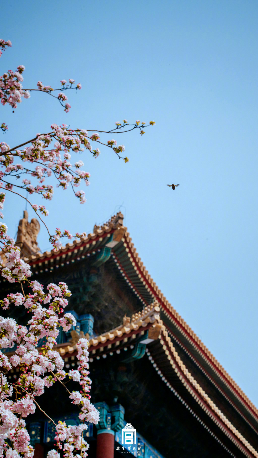 嘉兴约谈 _ 电影院,嘉兴电影学院
