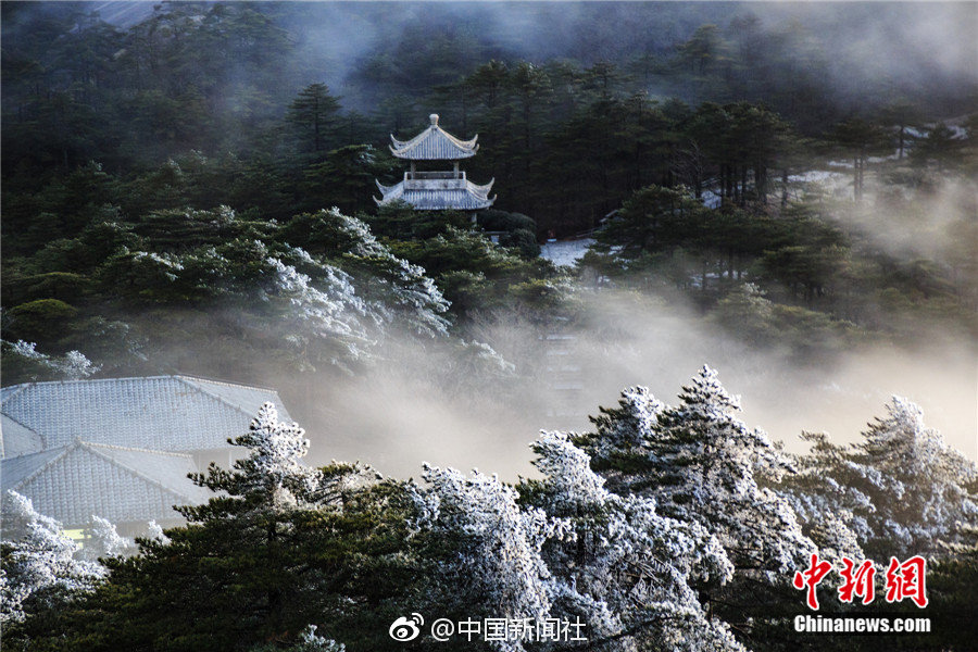 珠海茶会 _ 毕业的英文,珠海茶文化