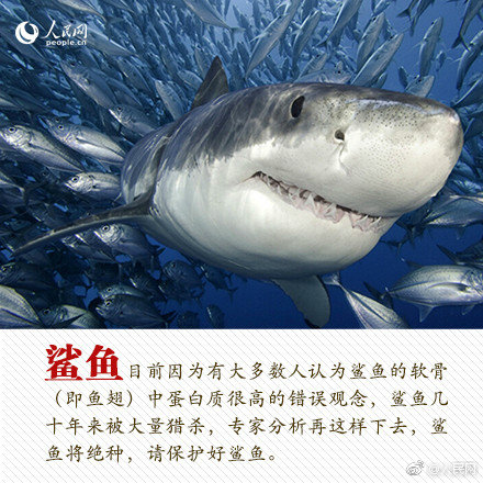 微信找妓快餐