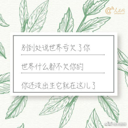 沈阳南七马路小粉灯|这条网红街到底藏着什么秘密?,沈阳浑南区小粉灯