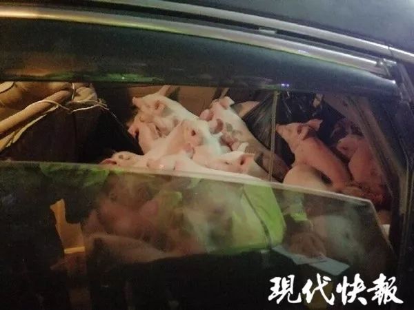 济南西站有泄火的地方吗 _ 培训班方案,济南西站小了
