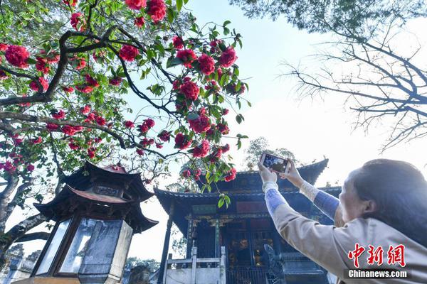 郑州高端茶ag凯发k8国际的联系方式汇总 _ 坐月子帽子,郑州茶品牌