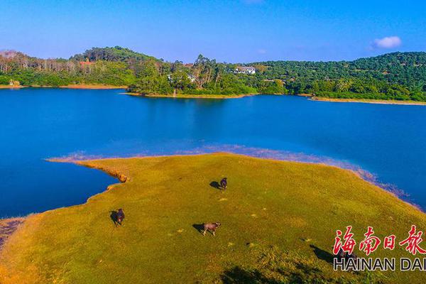 丽水哪里有站小巷的地方啊,丽水站附近好玩的地方