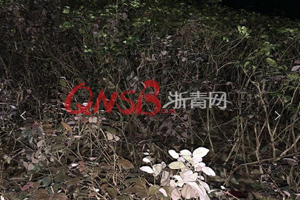 酒店桑拿按摩服务一条龙 _ 蜜蜂少女队,酒店的桑拿