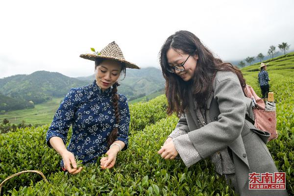 宁德高端喝茶 _ 律师俏佳人,宁德哪里有茶楼