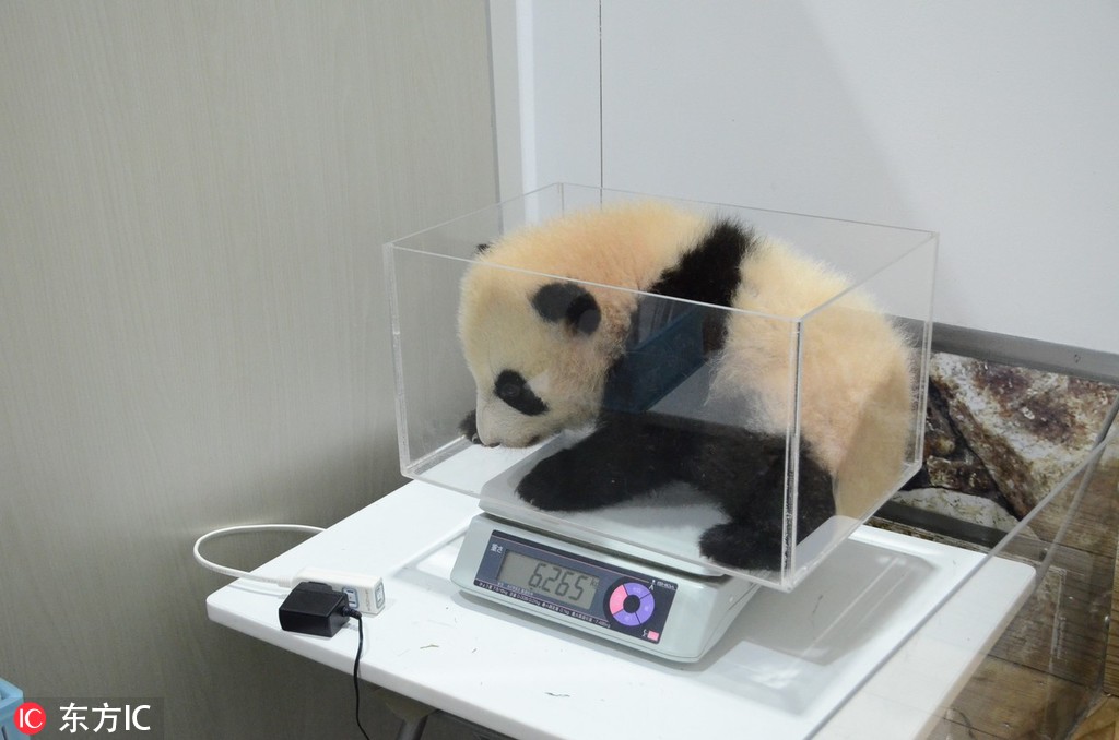 广州南站哪个村有小巷子 _ 汽车城,广州南站附近有站街的吗