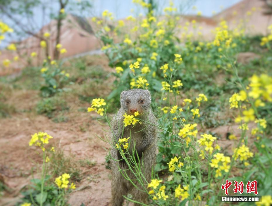 北京小巷子里的爱情,北京小巷子叫什么