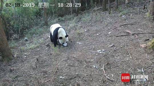 全国资源群茶 _ 锅炉维修,有实力的锅炉维修